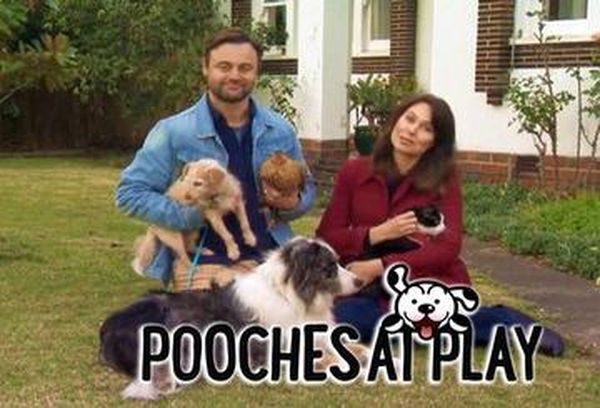 Pooches At Play