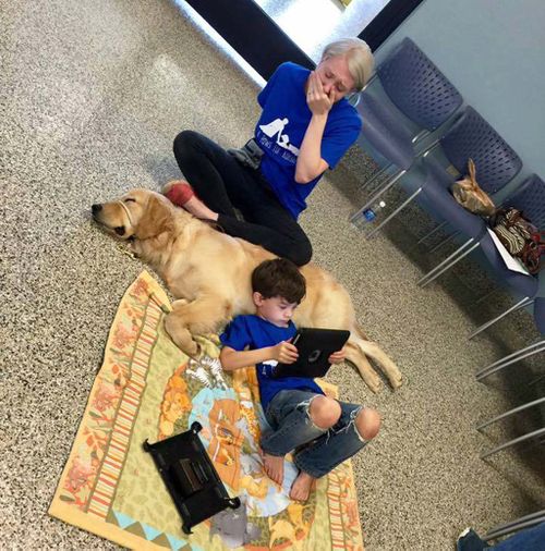 Mum of highly sensitive boy with autism weeps as he finds peace with service dog