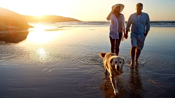 Walking dog on beach