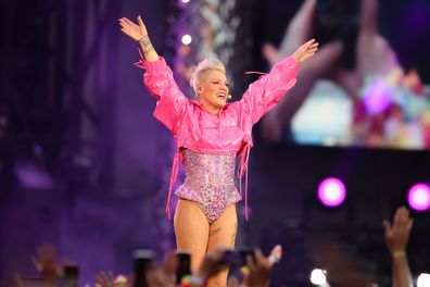 Pink Praised for Taking Security Into Her Own Hands During Concert