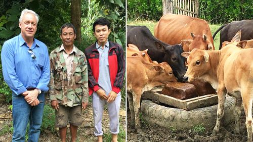Aussie company donates special cattle feed supplement to struggling Asian farmers