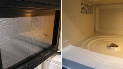 'I tried a viral cleaning hack and it almost blew up my microwave'