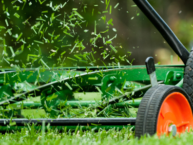 split image of greasy oven split with image of lawn mower and grass clippings