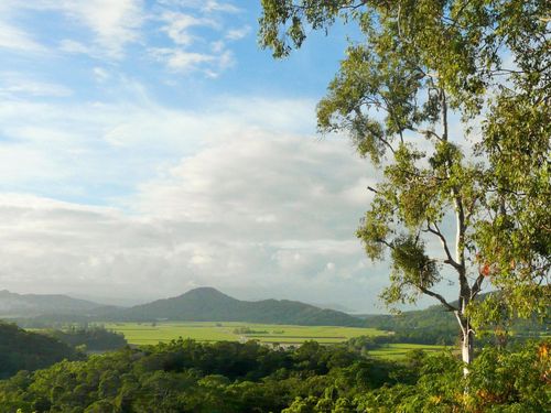 The Port Douglas homestay has two bedrooms and is "one of the most unique properties" in the area. (NaturistBnB)