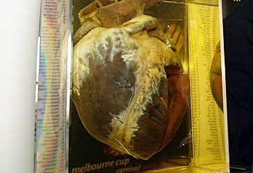 Where is Phar Lap's heart on display?