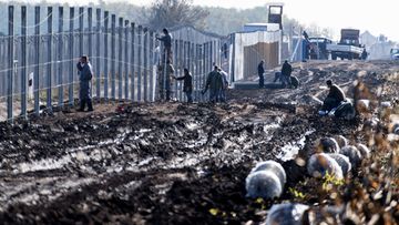 Prisoners build a new, second fence at the Hungarian-Serbian border near Gara village on October 27, 2016 as part of its efforts to keep migrants and refugees from freely entering the country. The new fence will have an electronic surveillance equipment. 