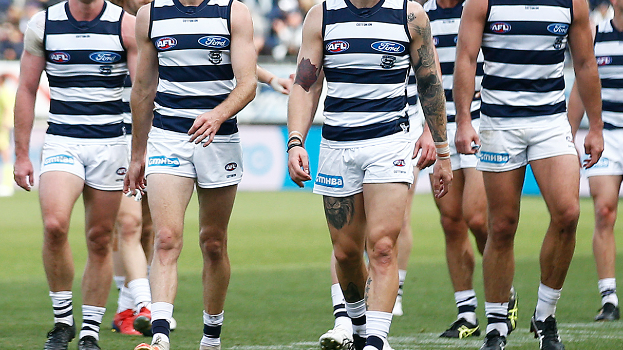 The Geelong Cats.