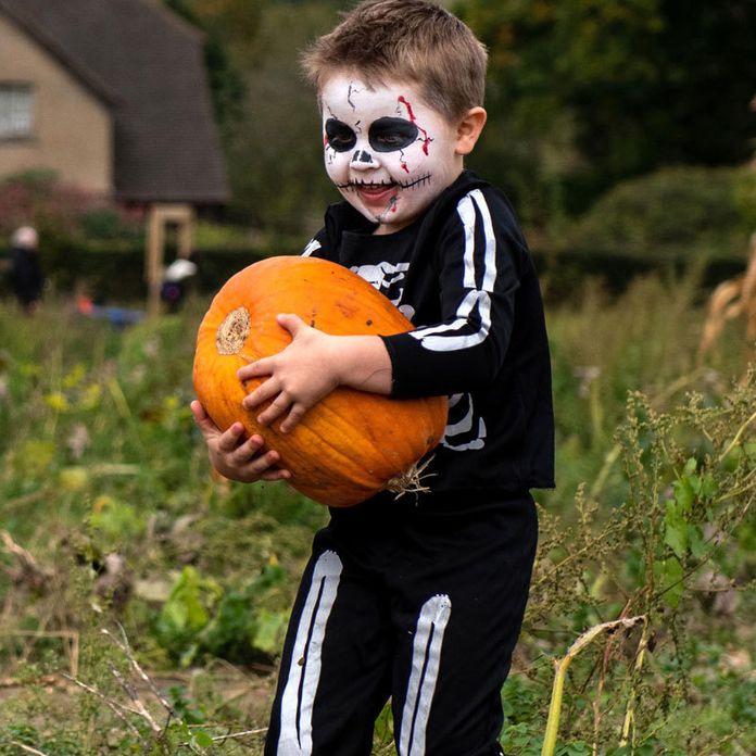 Coronavirus Restrictions Is Halloween Trick Or Treating Allowed This Year A State By State Guide To Halloween 2020