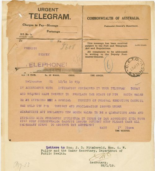 Papers show when the NSW border with Victoria was closed amid the Spanish flu pandemic in 1919.