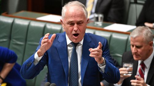 Malcolm Turnbull seized on the bungled interview in Question Time. Picture: AAP