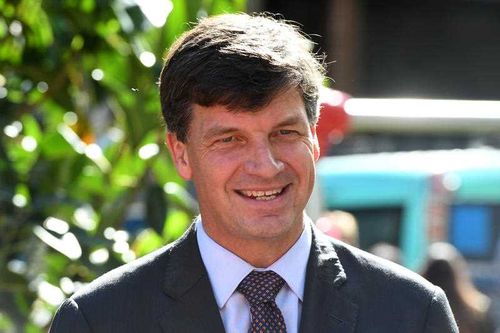 Angus Taylor is the country's new energy minister. Picture: AAP