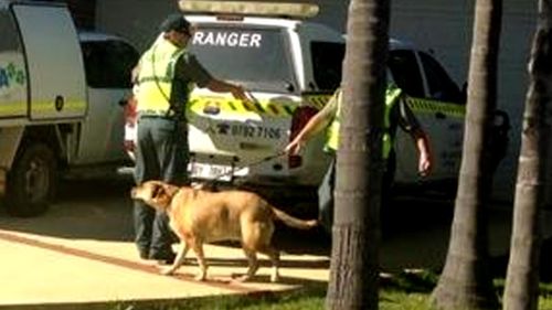 Rangers remove dog from home of Gammy couple