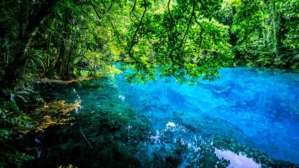 The three main blue holes on Espiritu Santo are all located conveniently close to each other.