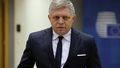 Slovak PM released from hospital following assassination attempt