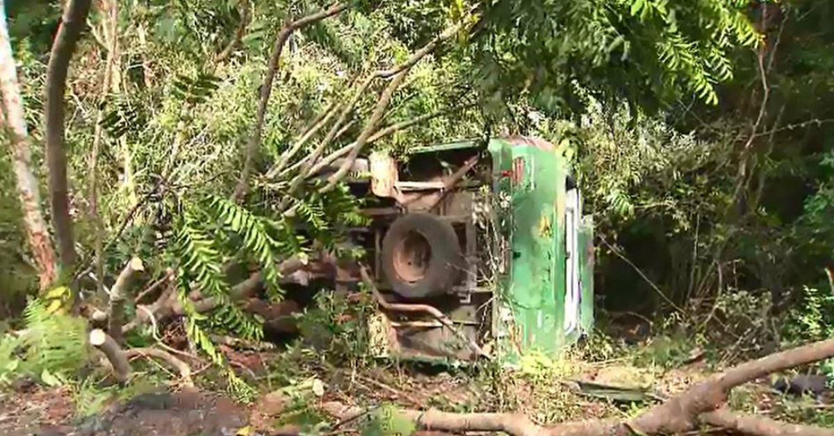 News Queensland Six Taken To Hospital After Tourist Bus Rolls Down Embankment