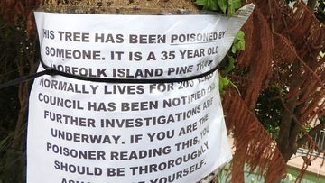 Andy posted this notice to his 30-year-old Norfolk pine after he found out someone had poisoned it.
