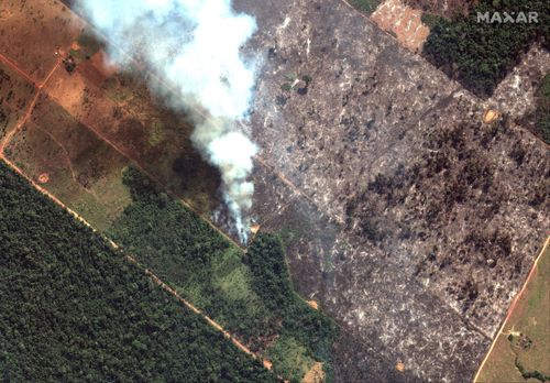 The states that have been most affected by fires this year are Mato Grosso, Para and Amazonia. 