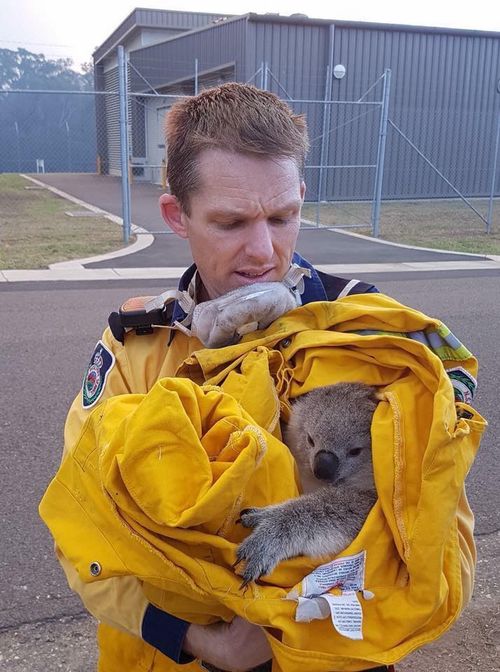 Firefighter Jarrod Chipperfield was photographed holding the marsupial after the rescue. (Facebook)