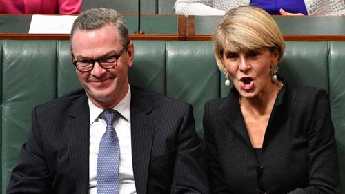 Julie Bishop has said Christopher Pyne is responsible for her leadership spill defeat.