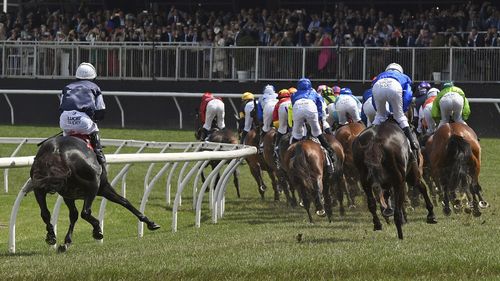 Despite the ethical criticisms of the race in light of the horse's  death, Australian Veterinary Association spokesperson Doctor Ian Fulton said the injury was 'catastrophic' and simply irreparable. 
