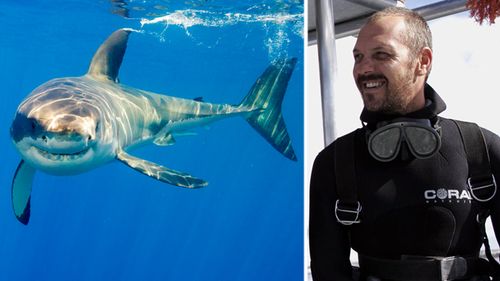 Mike 'Sharkman' Rutzen has been free diving with great whites, tiger sharks and bull sharks since 1998. (Getty / Facebook)