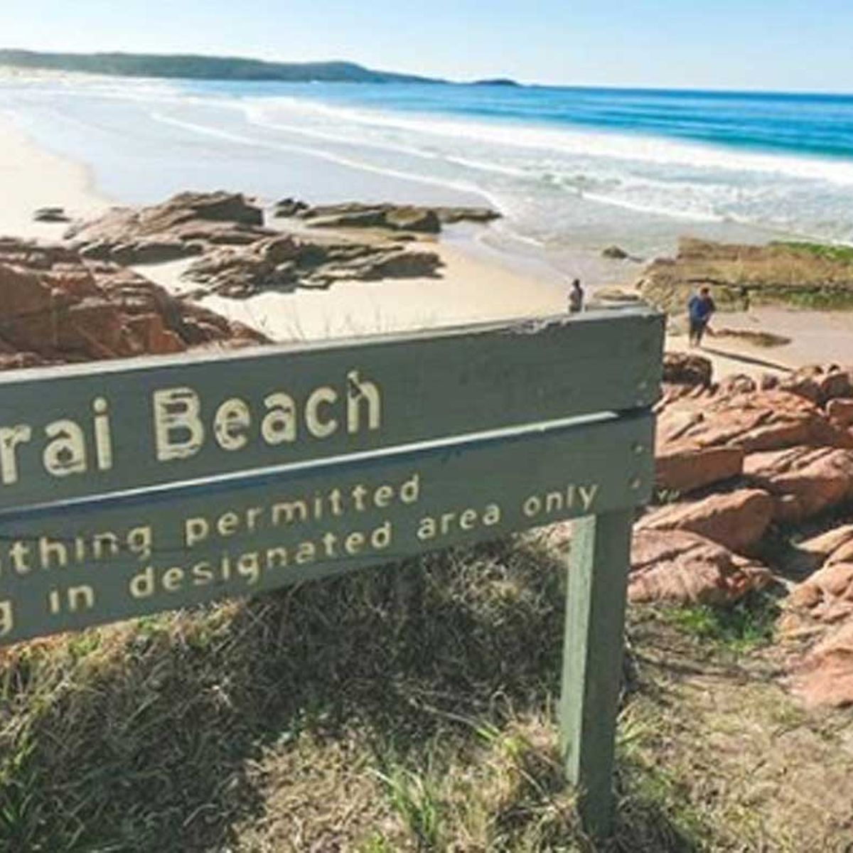 Nudist Campers - Shark attack: Man mauled while swimming off NSW nudist beach