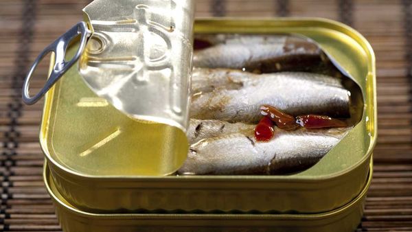 Why tinned fish are back in fashion