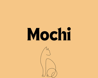 5. Mochi