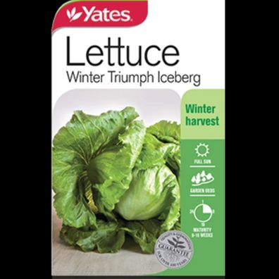 Lettuce gardening