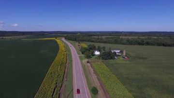 The strip of flowers runs for more than 7km along Wisconsin's Highway 85. (Babbette's Seeds of Hope)