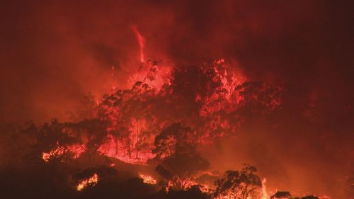 A court has been given an insight into the impact a bushfire had on thousands of dedicated Country Fire Service volunteers in South Australia.