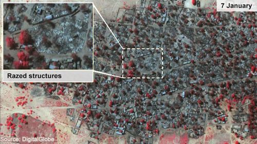 Satellite image of Doro Baga taken on January 7, following an attack by Boko Haram, shows the level of destruction, with red areas indicating the remaining healthy vegetation.