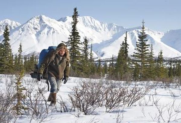 Into the Wild