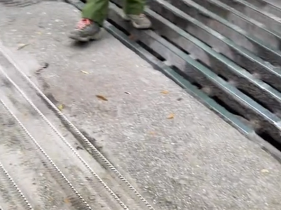 The cattle grid and cables park visitors had to navigate.