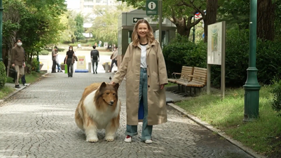 Toco Japanese man in border collie dog costume