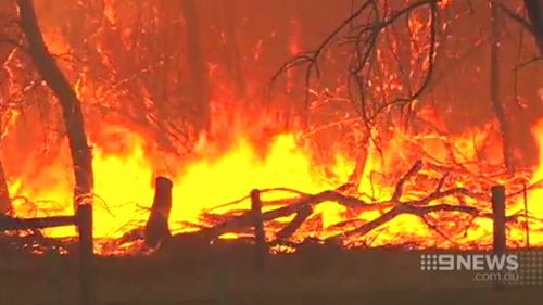 At least 21,000 hectares have been burned. (9NEWS)