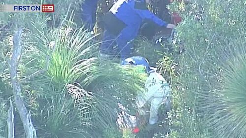 The injured man was rescued after falling from a cliff at Tomewin. (9NEWS)