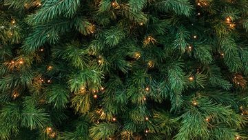Experts have warned festive trees can cause &#x27;Christmas tree syndrome&#x27; - an allergic reaction that can potentially cause serious asthma attacks.