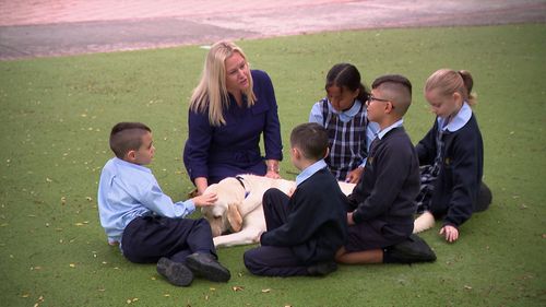 Therapy dog permanently employed at western Sydney school to help ease return to school anxiety.