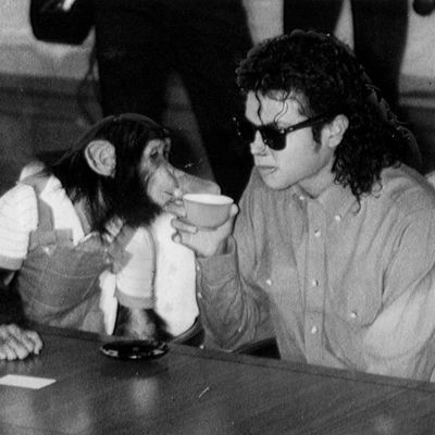 Michael Jackson's chimp Bubbles
