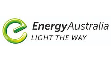 More than 300 EnergyAustralia customers have had their details leaked in a cyber attack.