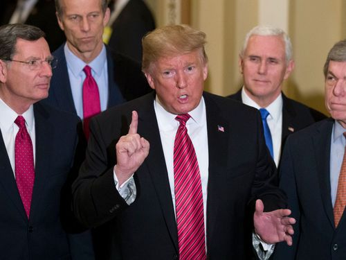 Then President Donald Trump and former Vice President Mike Pence stand with other US politicians.