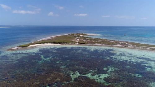 The mass grave was discovered on the Abrolhos Islands. 
