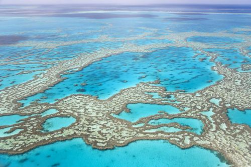 QLD - Great Barrier Reef   iStock