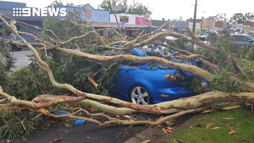 A tree fell on a Mazda 3 and caused significant damage. (9NEWS)