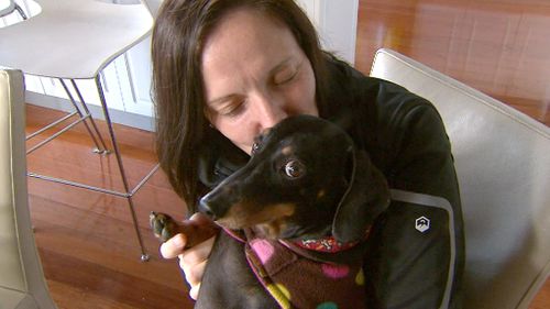 Henry and his owner Jemma seem very pleased with the new wheelchair. (9NEWS)
