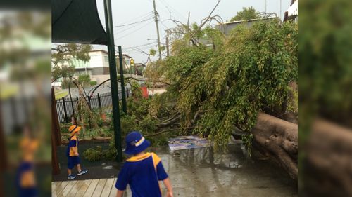 Tree crashes into Brisbane school playground during violent storm
