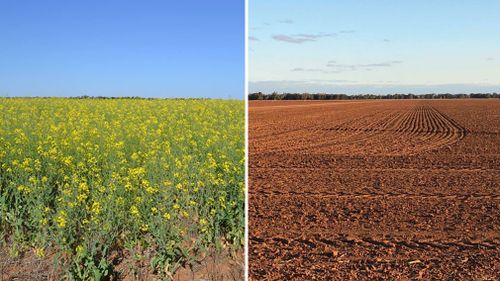 The difference two years makes: Ms Grech's farm in 2016 and this season after a drought ravaged New South Wales.