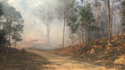 Bianca and Dave farm bushfire