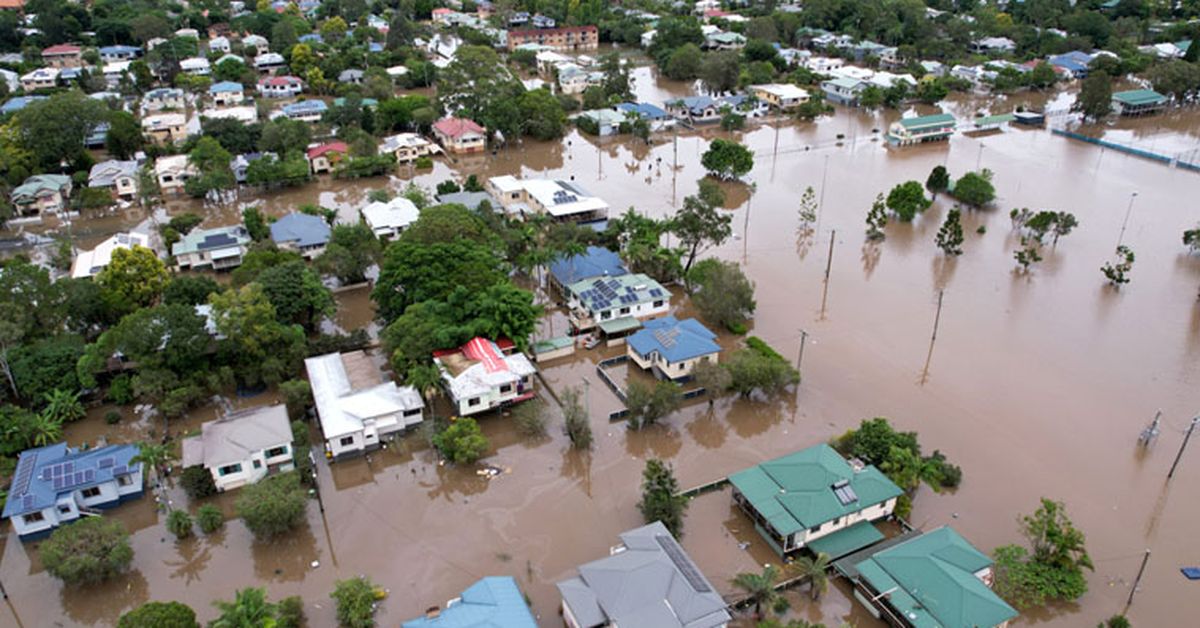 Disaster response in NSW to be overhauled following flood report – 9News